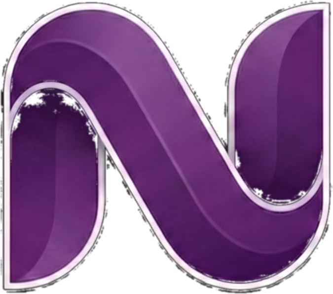 Nexora Web Designs logo mark